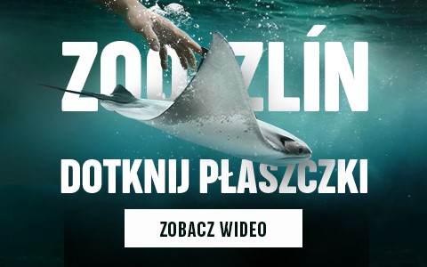 ZOO Zlín 2024 (PL)